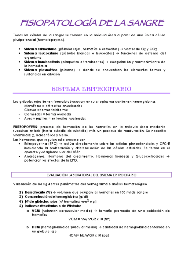 Miniatura del documento SISTEMA-ERITROCITARIO.pdf