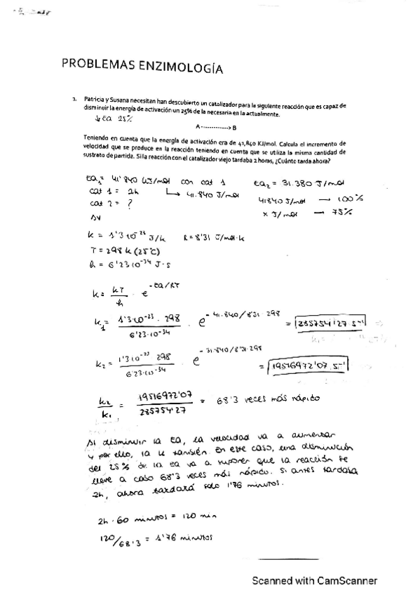 Miniatura del documento problemas-resueltos-enzimo.pdf