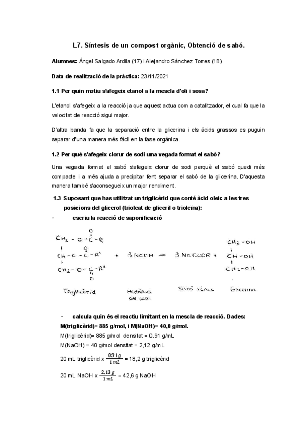 Miniatura del documento L7.-Quimica.pdf
