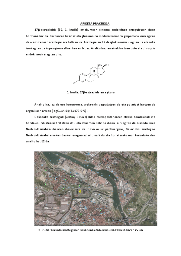 Miniatura del documento Ariketapraktikoaklasean.pdf