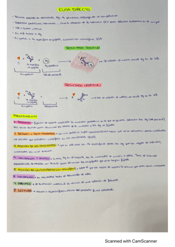 Miniatura del documento ELISA-directo.pdf