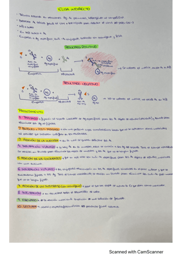 Miniatura del documento ELISA-indirecto.pdf