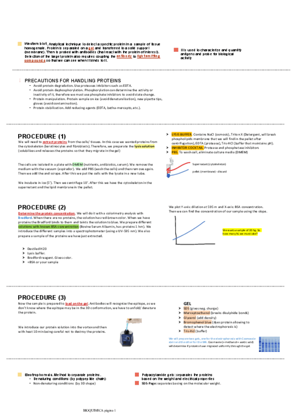 Miniatura del documento LAB-Biochemistry.pdf