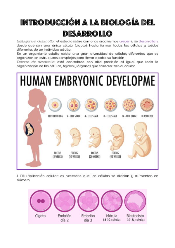 Miniatura del documento TEMA-1.pdf