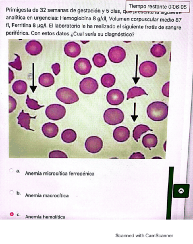Miniatura del documento 1o-obstetriciapdf.pdf