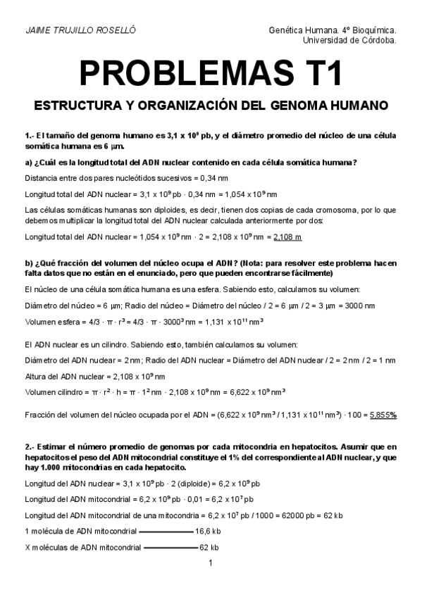 Miniatura del documento Problemas-T1-resueltos.pdf