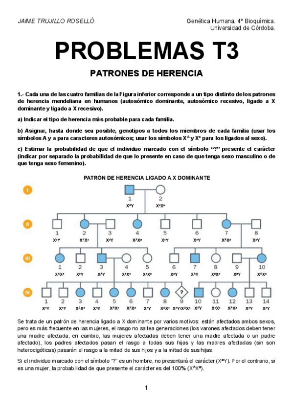 Miniatura del documento Problemas-T3-resueltos.pdf