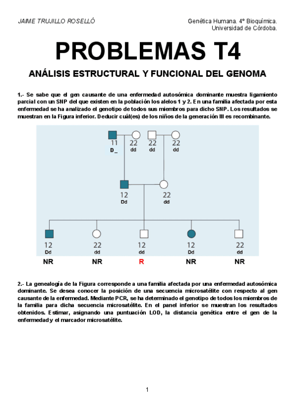 Miniatura del documento Problemas-T4-resueltos.pdf