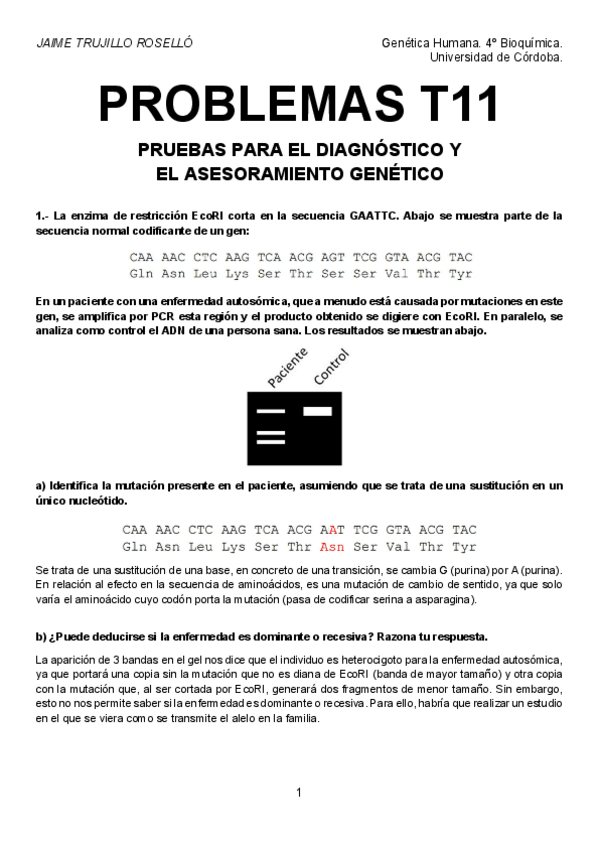 Miniatura del documento Problemas-T11-resueltos.pdf