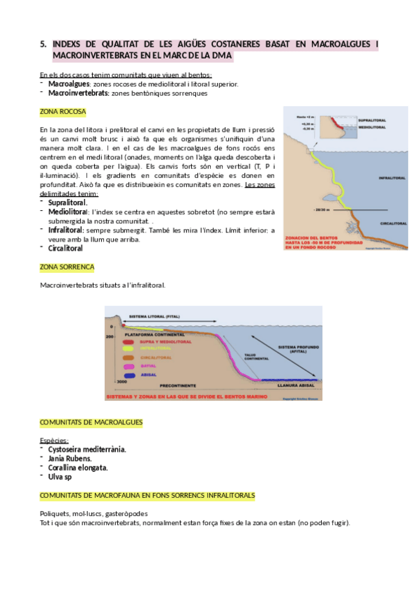 Miniatura del documento C5.-INDEXS-DE-QUALITAT-DE-LES-AIGUES-COSTANERES-BASAT-EN-MACROALGUES-I-MACROINVERTEBRATS-EN-EL-MARC-DE-LA-DMA.pdf