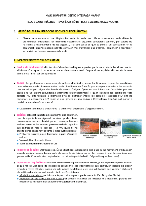 Miniatura del documento C6.-GESTIO-PROLIFERACIONS-ALGALS-NOCIVES.pdf