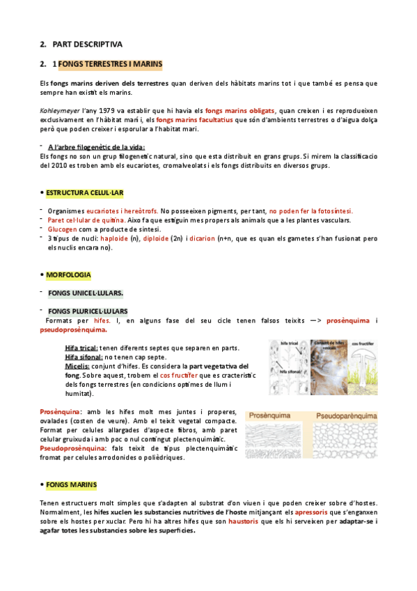 Miniatura del documento 2.-PART-DESCRIPTIVA.pdf