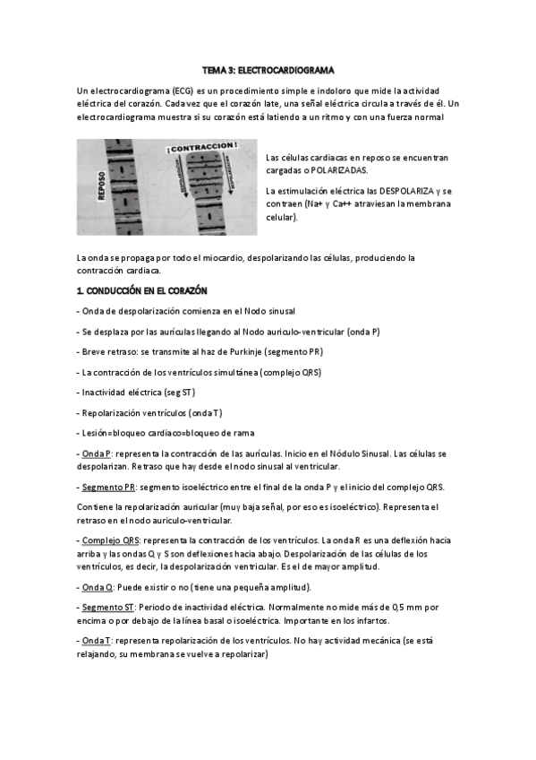 Miniatura del documento TEMA-3.pdf