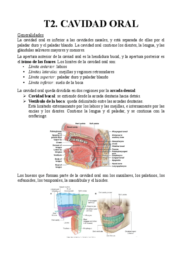 Miniatura del documento T2.-Cavidad-oral.pdf