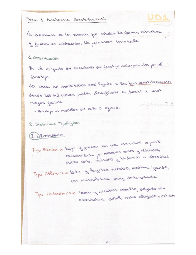 Miniatura del documento UD-1-ANATOMIA.pdf