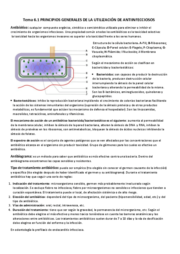 Miniatura del documento Tema 6.pdf