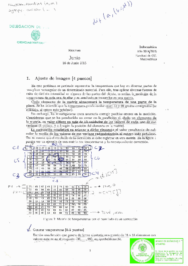Miniatura del documento 2015junioIN.pdf