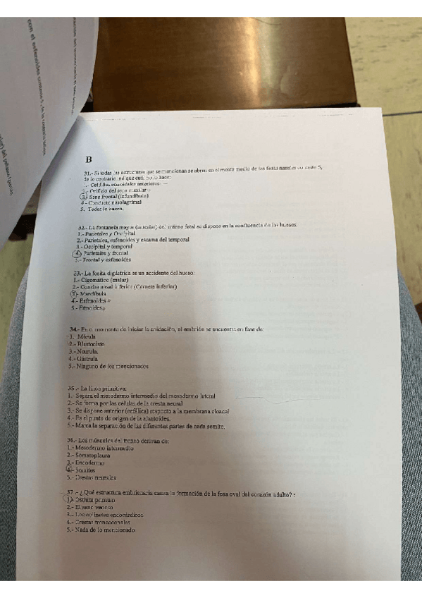 Miniatura del documento anatomia-1-2021.pdf