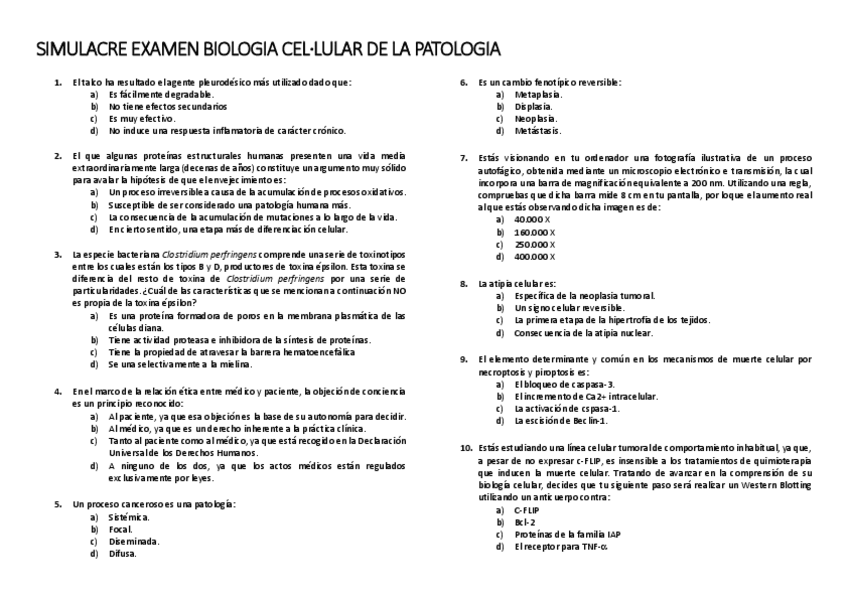 Miniatura del documento SIMULACRE-2.pdf