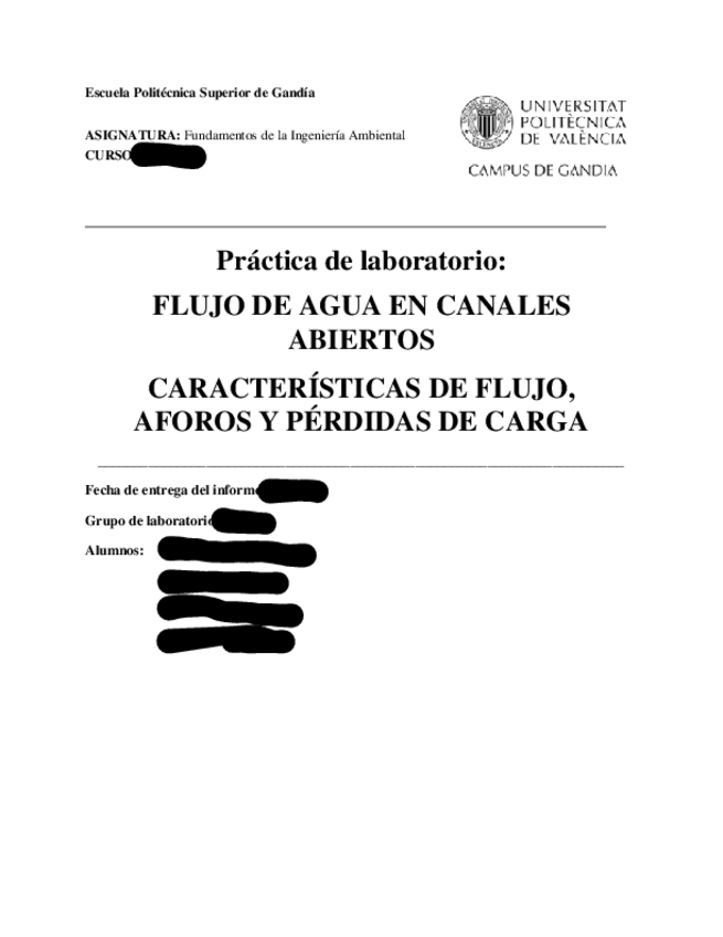 Miniatura del documento INFORMEPRACTICACF.pdf