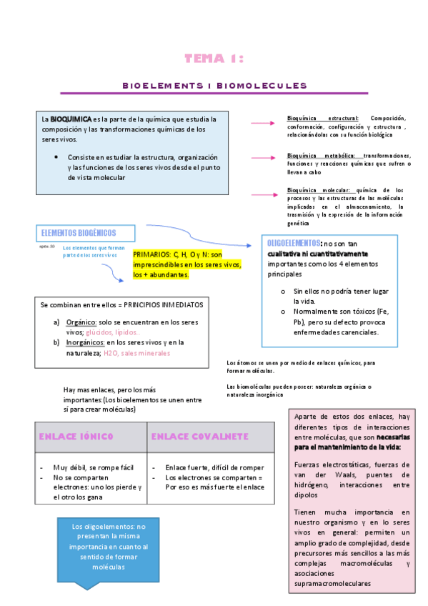 Miniatura del documento Apuntes-bioquimica.pdf