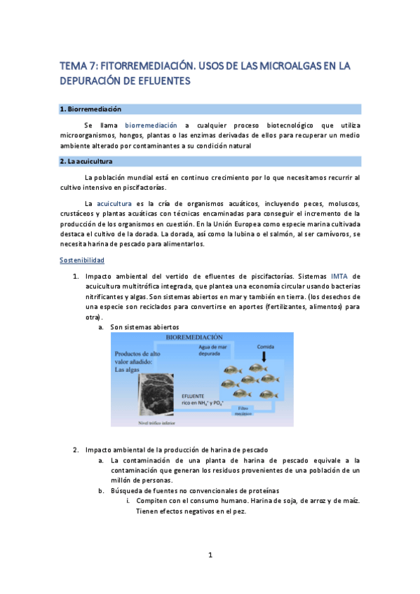 Miniatura del documento Tema7.pdf