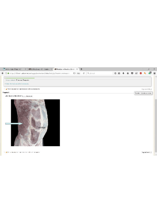 Miniatura del documento examen-imagenes-2.pdf