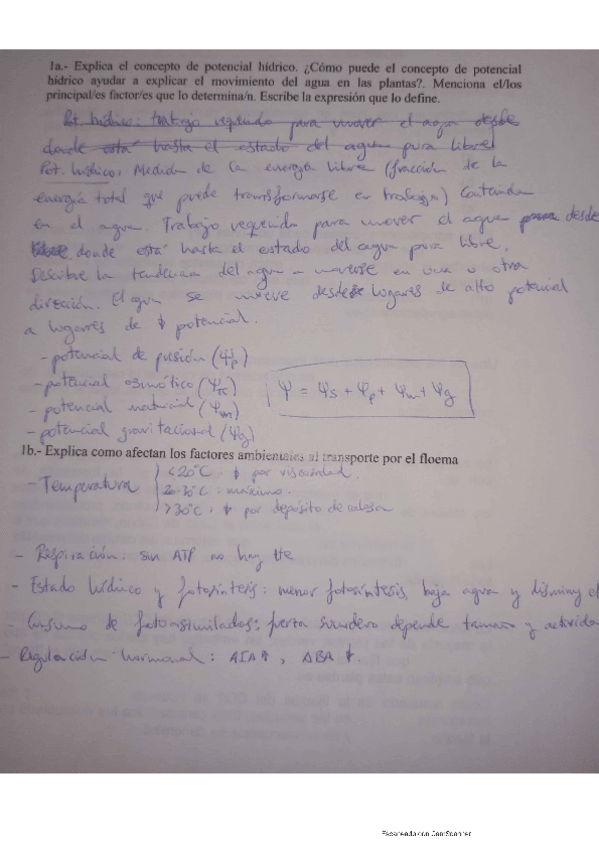Miniatura del documento preguntas-primer-parcial.pdf