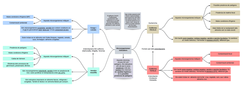 Miniatura del documento Microorganismes-indicadors.pdf