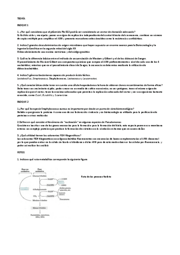 Miniatura del documento PREGUNTAS-TEORIA-EXAMENES.pdf