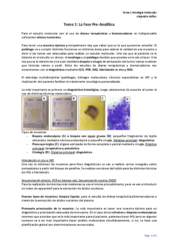 Miniatura del documento Tema-1.pdf