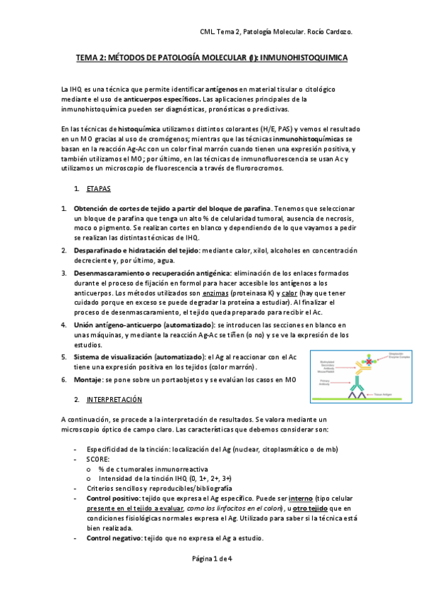 Miniatura del documento tema-2-patologia-molecular.pdf
