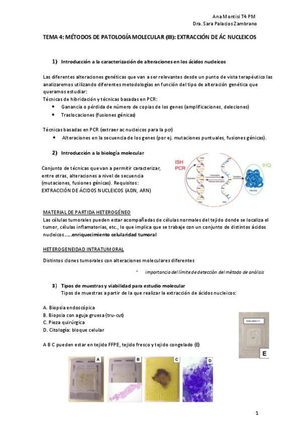Miniatura del documento TEMA-4-pm-EXTRACCION-AC-NUCLEICOS.pdf