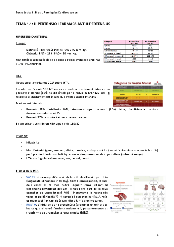 Miniatura del documento Tema-1-antihipertensius.pdf