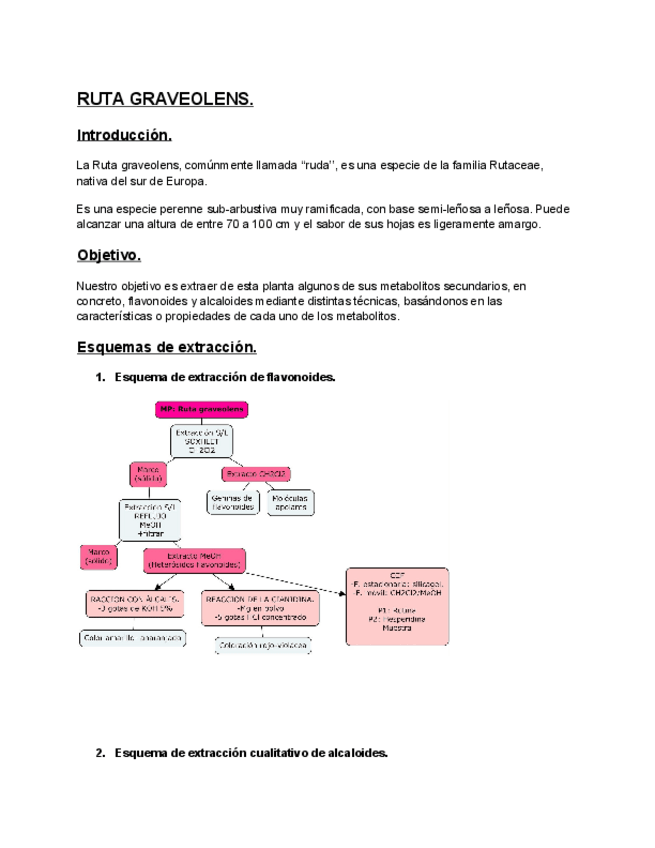 Miniatura del documento Esquemas-de-extraccion.pdf