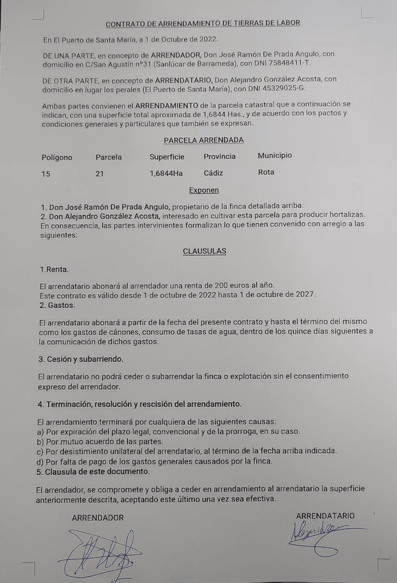 Miniatura del documento pdfdocumento.pdf