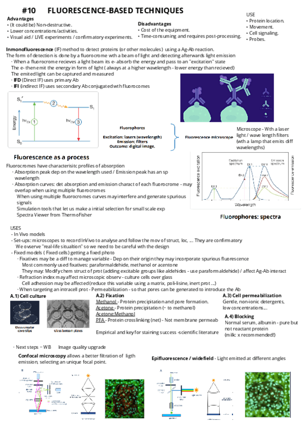 Miniatura del documento 10Fluorescence-based-techniques.pdf