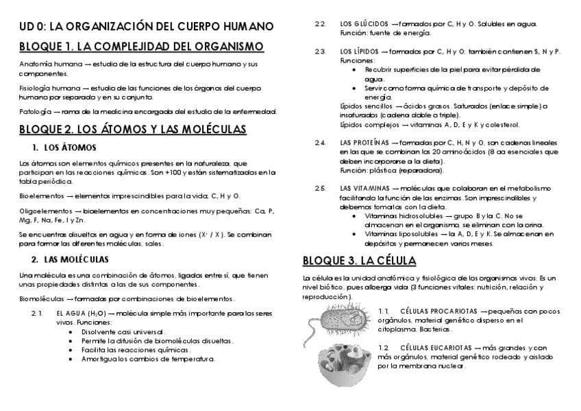 Miniatura del documento RES-AI-UD-0-1-2-3.pdf