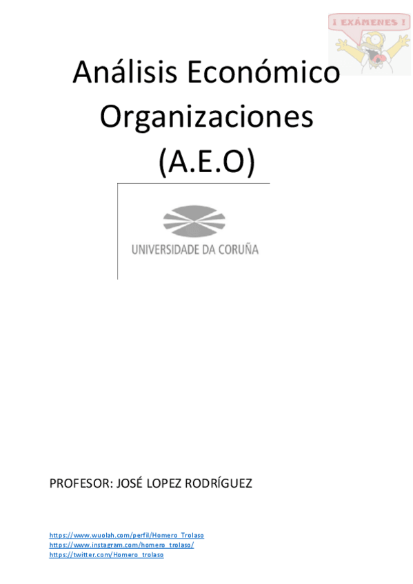 Miniatura del documento Apuntes Completos  AEO.pdf