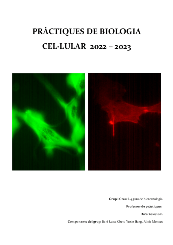 Miniatura del documento INFORME-DE-PRACTIQUES.pdf