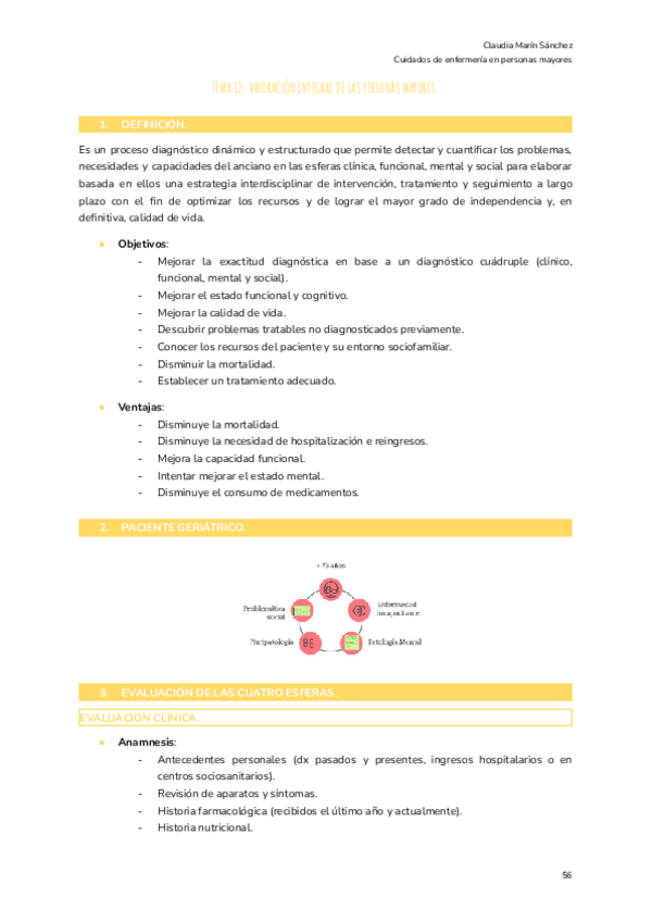 Miniatura del documento TEMA-12-VALORACION-INTEGRAL-DE-LAS-PERSONAS-MAYORES.pdf