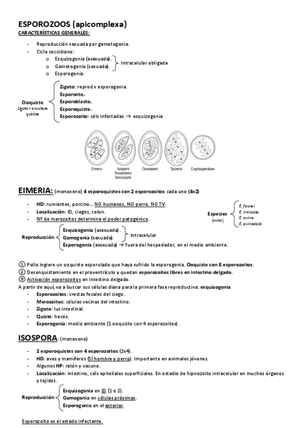 Miniatura del documento ESPOROZOOS.pdf