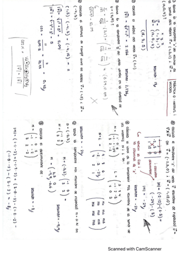 Miniatura del documento PRACTICA-0-MATRIUS-I-VECTORS.pdf