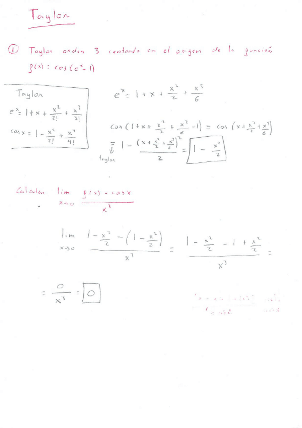 Miniatura del documento Taylor.pdf