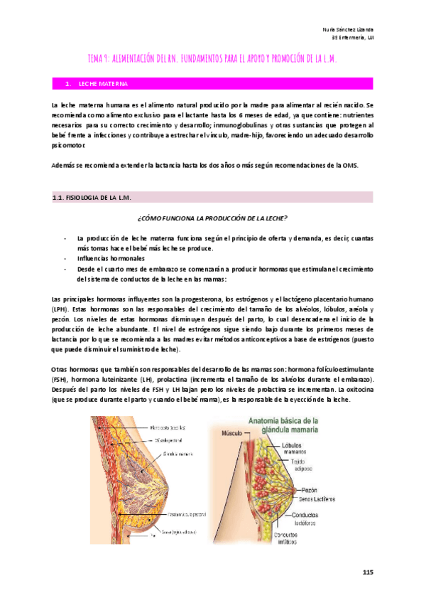 Miniatura del documento TEMA-9-ALIMENTACION-DEL-RN.pdf