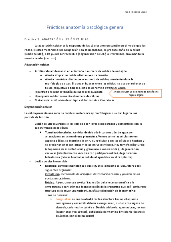 Miniatura del documento Practica-1-APG.pdf