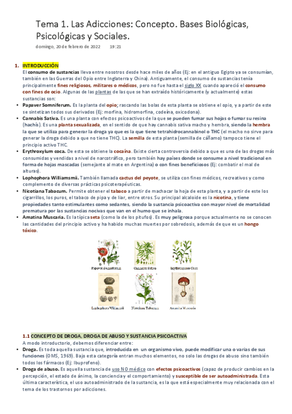 Miniatura del documento IPA-Tema-1.-Concepto-de-Adicciones.-Bases-Biologicas-Psicologicas-y-Sociales..pdf
