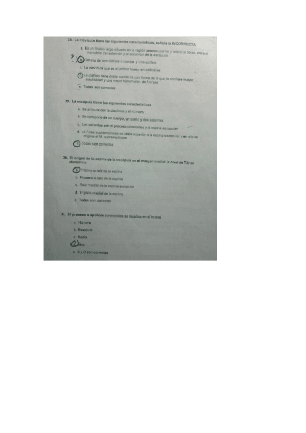 Miniatura del documento Examen-anatomia.pdf