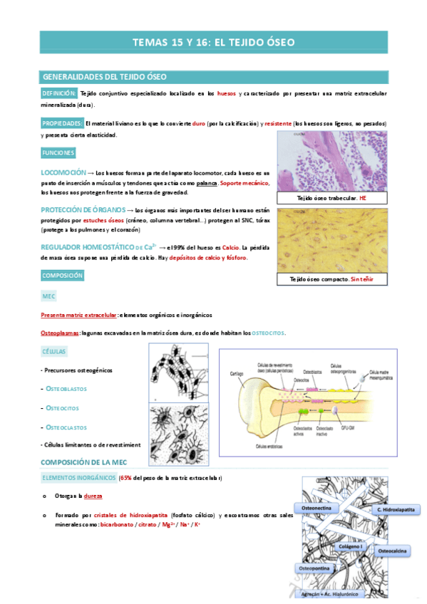 Miniatura del documento TEMAS-15-Y-16-TEJIDO-OSEO.pdf