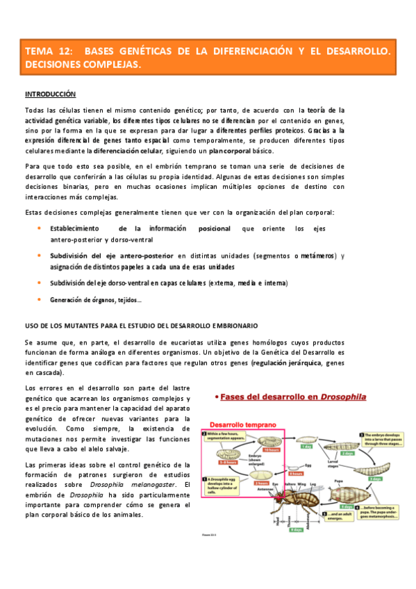 Miniatura del documento GENETICA-MOL-T12-13-Y-14.pdf